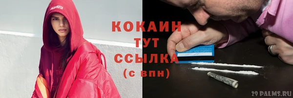 ГАЛЛЮЦИНОГЕННЫЕ ГРИБЫ Абаза