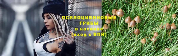 ГАЛЛЮЦИНОГЕННЫЕ ГРИБЫ Абаза